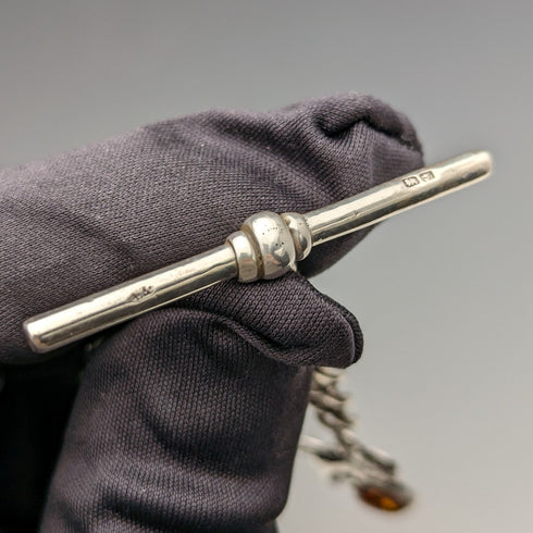 Circa 1910 British Antique Sterling Silver Albert Chain 34g Lion Fob with Amber